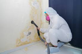 Best Comprehensive Air Testing for Mold Contaminants in USA